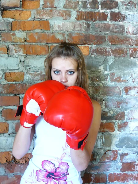 Blue-eyed girl the boxer — Stock Photo, Image