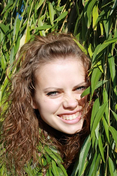 Chica ha escondido detrás de ramas —  Fotos de Stock