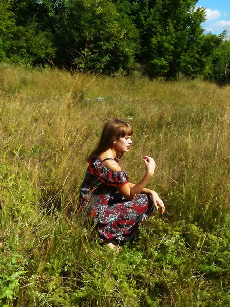 Сексуальная девушка отдыхает в поле — стоковое фото