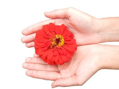 ellerinde çiçek