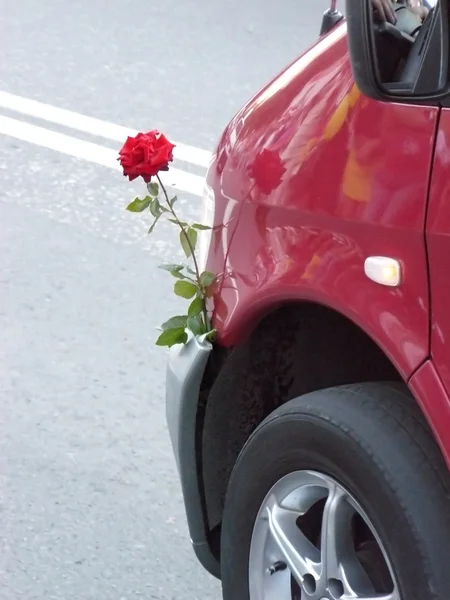 stock image Beautiful lrose and car