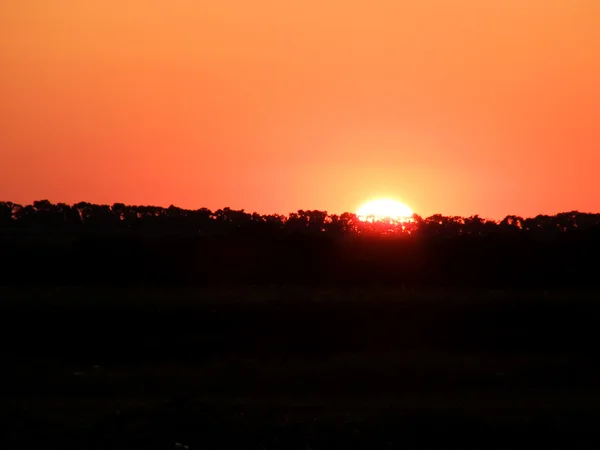 Stock image Summer sunset over