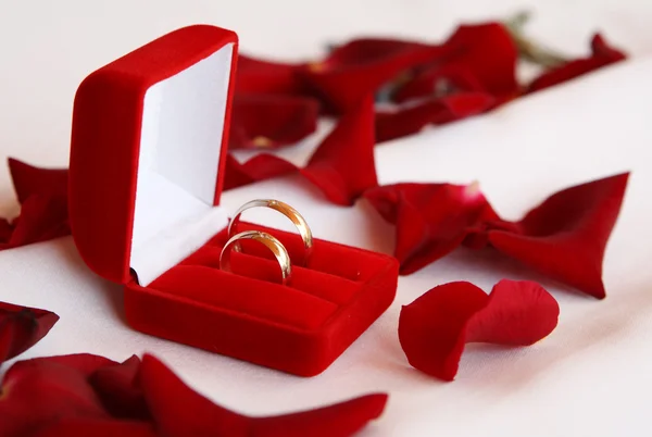 Esküvők-gyűrűk — Stock Fotó