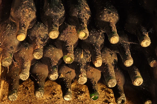 Alte Flaschen mit Wein — Stockfoto