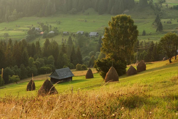 Morning in Carpathian mountains — Stock Photo, Image