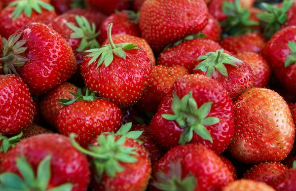 stock image Strawberry