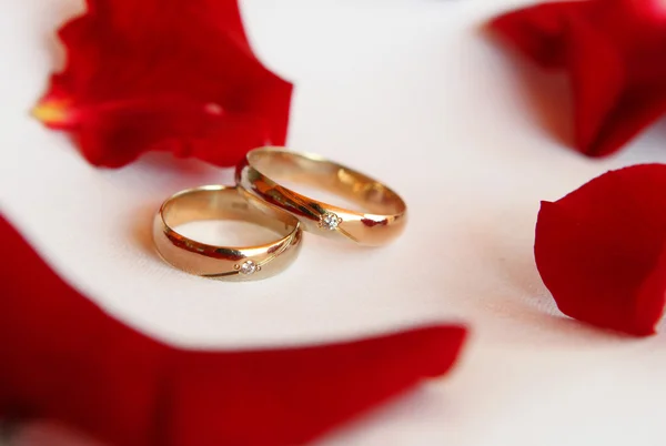 Esküvői Jegygyűrűk — Stock Fotó