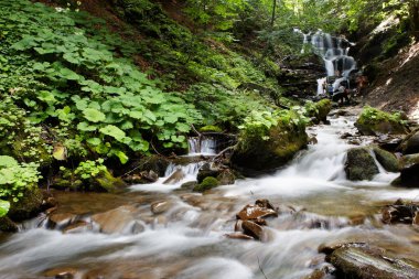 şelale shipot, Ukrayna