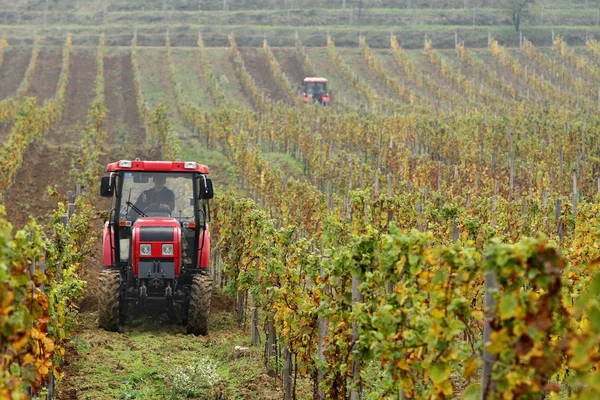 stock image Tractor on the vineyard