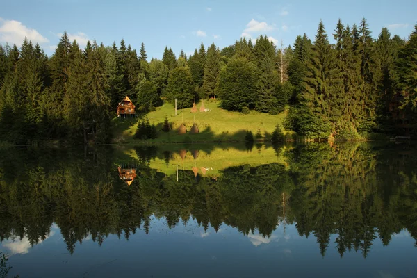 stock image Lake is in the Carpathians mountains
