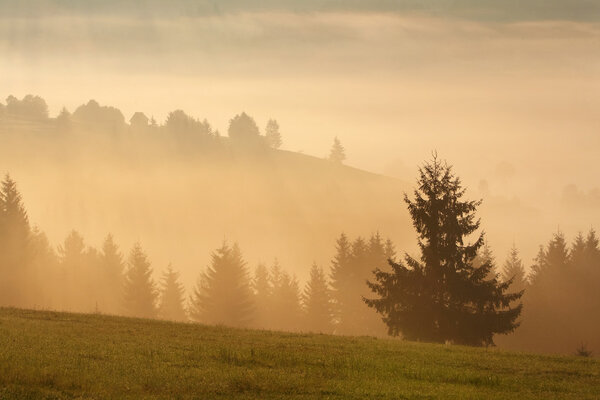 Morning in Carpathian mountains