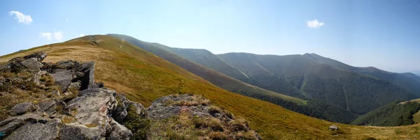 stock image Carpathians mountains, Ukraine