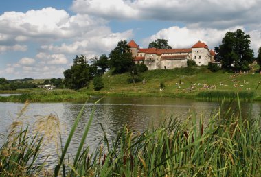 Lake near castle Svirzh clipart