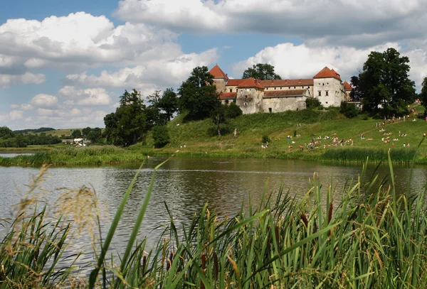 城 svirzh の近くの湖 — ストック写真