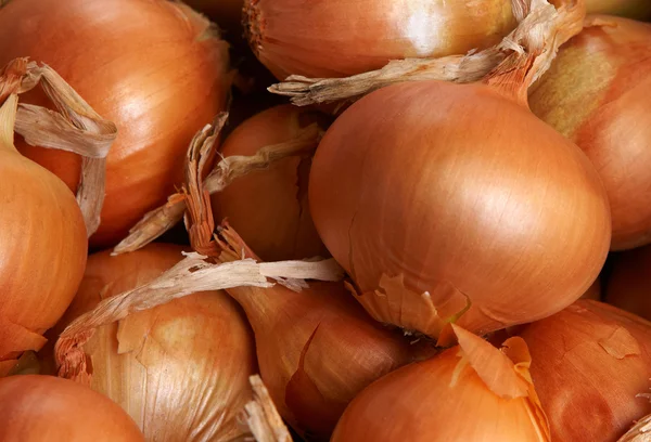 stock image Onions