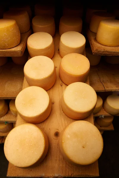 stock image Cheese in a cheese dairy