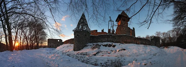 Руины крепости Невицкий, Украина — стоковое фото