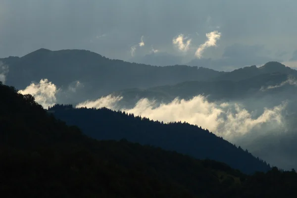 stock image Fog and Carpathian mountains