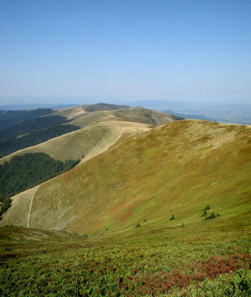 Mountain valley, Carpathians; Ukraine — Stock Photo, Image