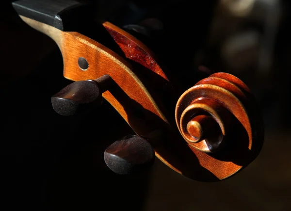 Violino principal — Fotografia de Stock