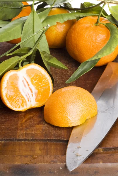 Mandarines 절연 — 스톡 사진