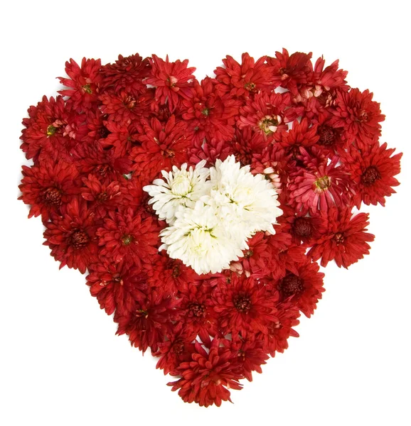 Květinové srdce — Stock fotografie