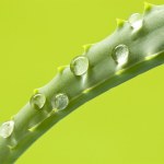 Health-care and body treatment Health-care and body treatment