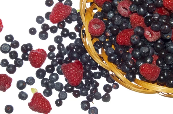 Bilberries and raspberries, summer fruit — Stock Photo, Image