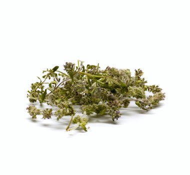 Thyme isolated clipart