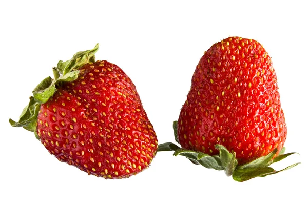Close-up van twee aardbeien op witte — Stockfoto
