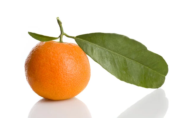 Mandarine isolée — Photo