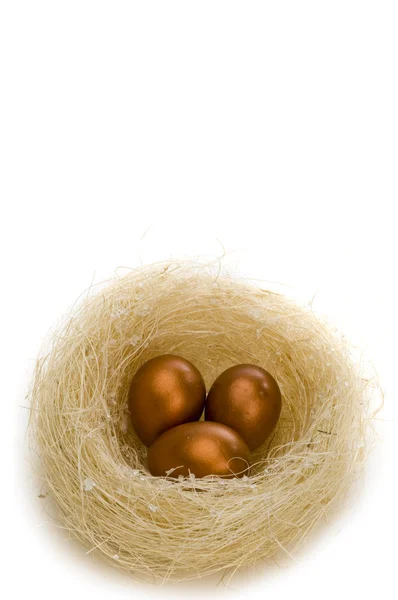 Zlatá vejce v hnízdě — Stock fotografie
