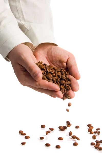 Håndfuld brune kaffebønner - Stock-foto