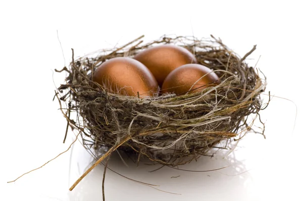 Золоті яйця в гнізді — стокове фото