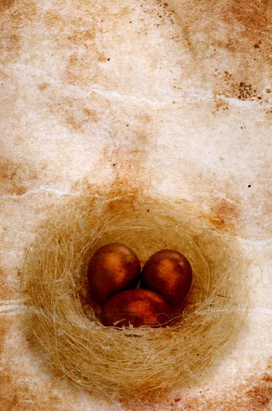 Œufs dorés dans le nid — Photo