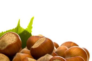 Hazel nuts clipart