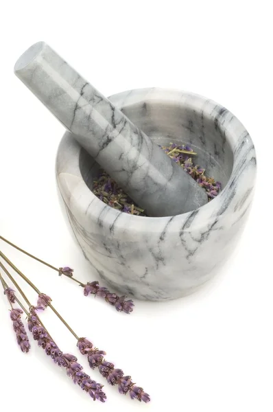 Mortar and lavender — Stock Photo, Image