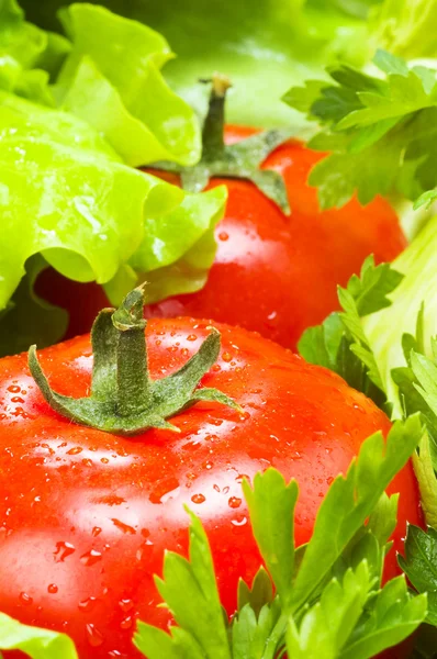Piatto pomidor — Zdjęcie stockowe