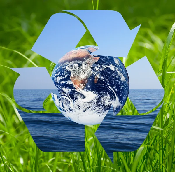 自然のリサイクル — ストック写真