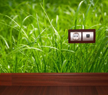 Energy outlet in grass clipart