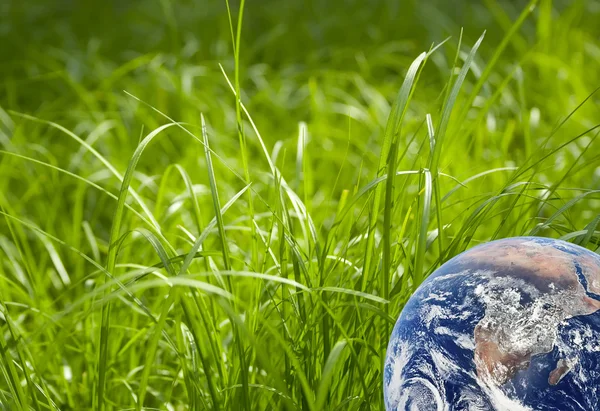Green grass with earth — Stock Photo, Image