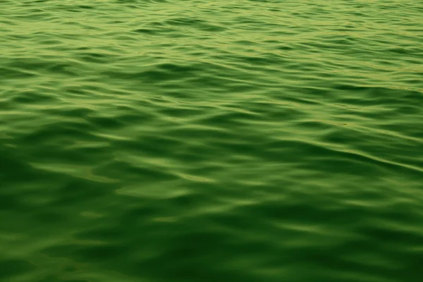 有毒海波浪 — 图库照片