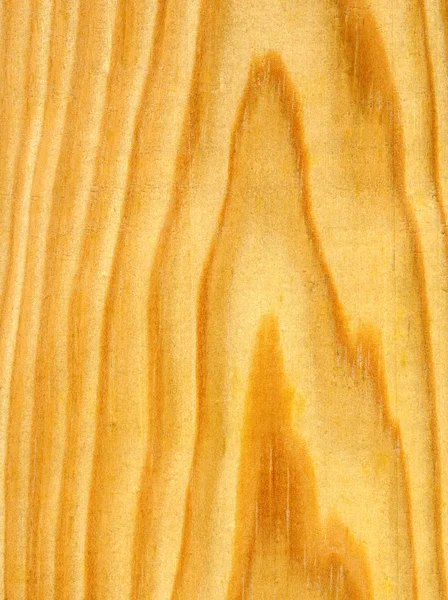 Линии из соснового дерева . — стоковое фото