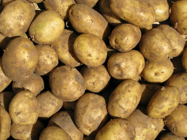 Špinavý vaření brambor. — Stock fotografie