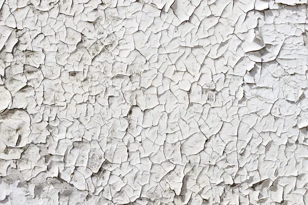 Gros plan de vieille peinture blanche fissurée . — Photo