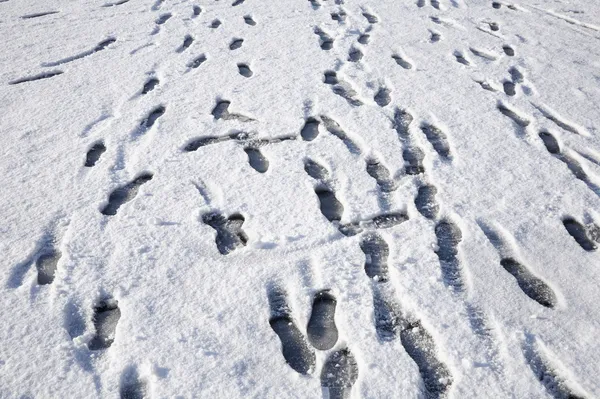 Karda ayak izleri bir sürü. — Stok fotoğraf