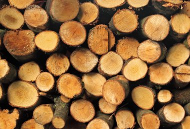 Cut firewood logs stack. clipart