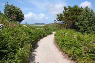 Narrow English country lane, St. Agnes. clipart