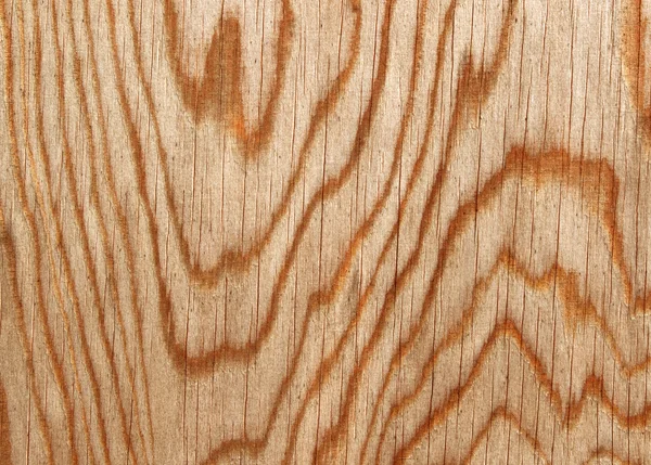 Naturalny wzór drewna linie z bliska. — Zdjęcie stockowe