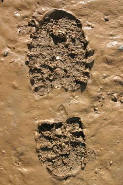 Walkers boot print in wet mud. clipart